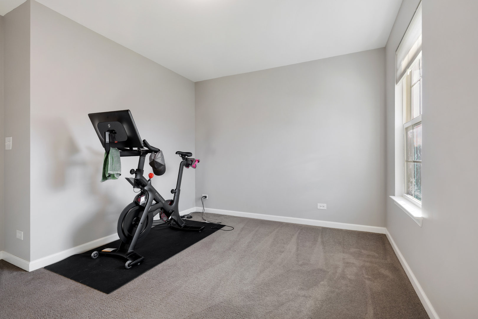 938 Blue Aster Parkway Property Photo 30