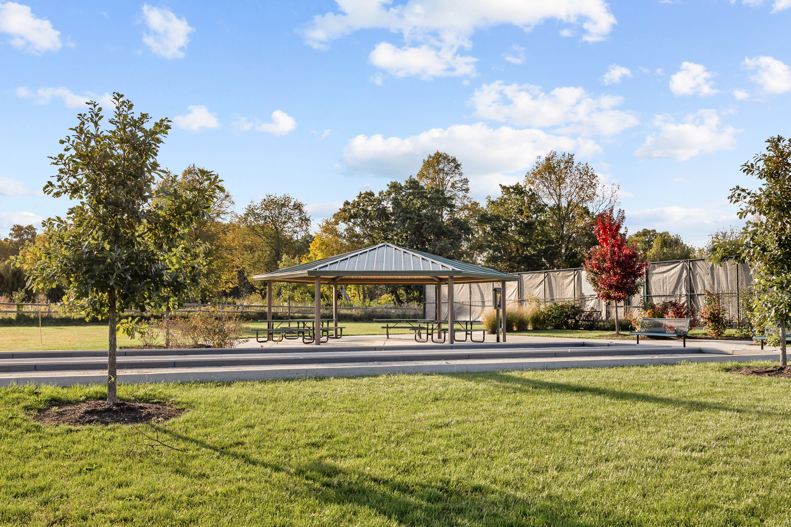 938 Blue Aster Parkway Property Photo 34