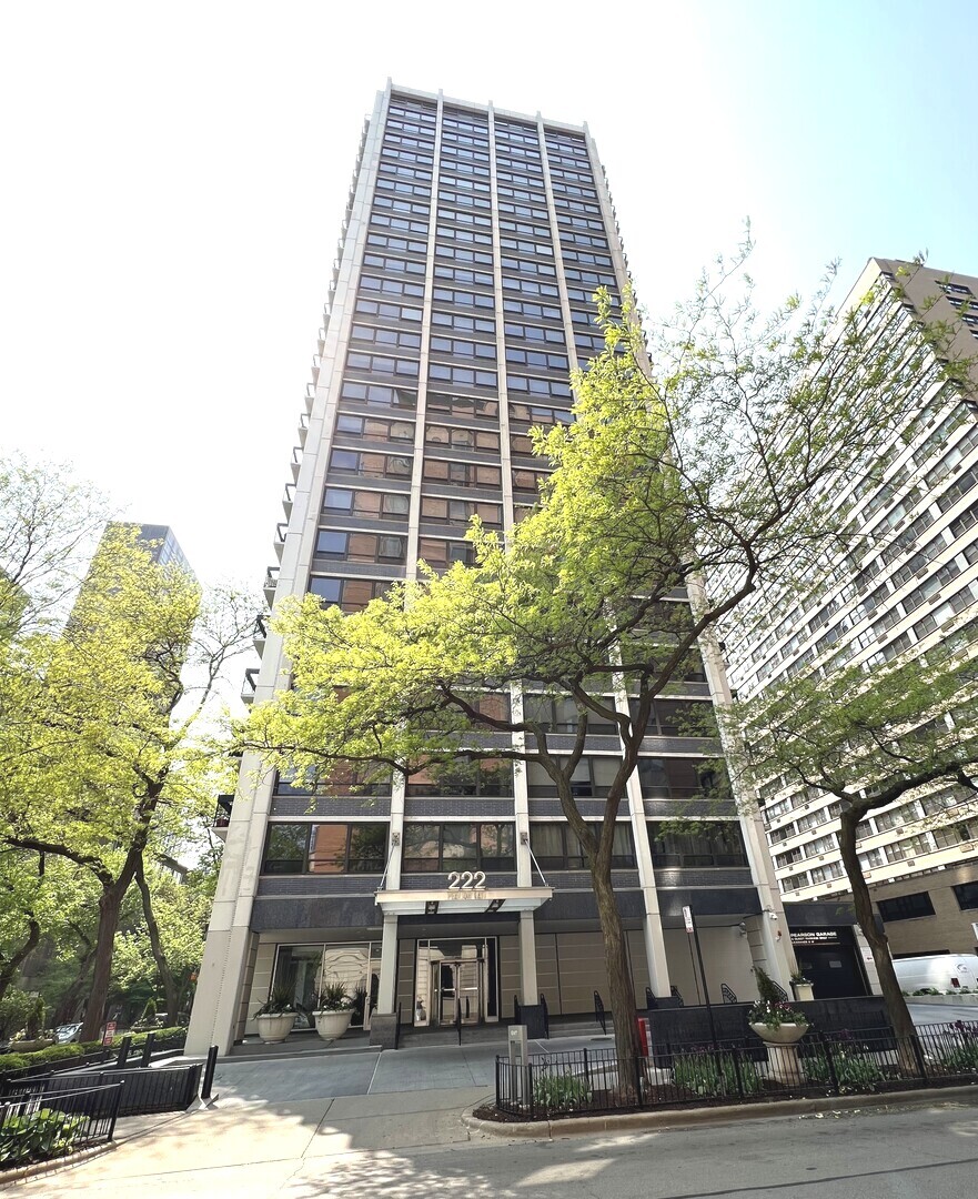 222 E PEARSON Street 1107