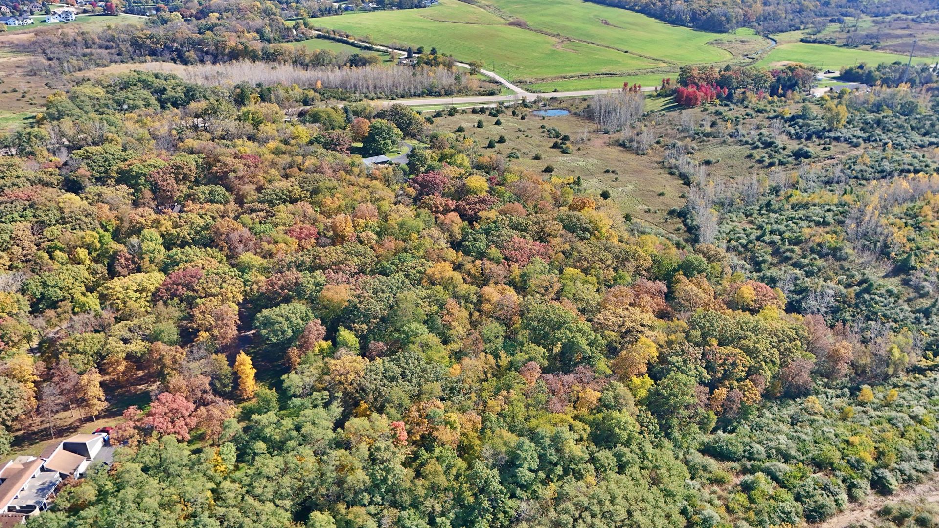 0s810 Autumn Woods Lane Property Photo 6