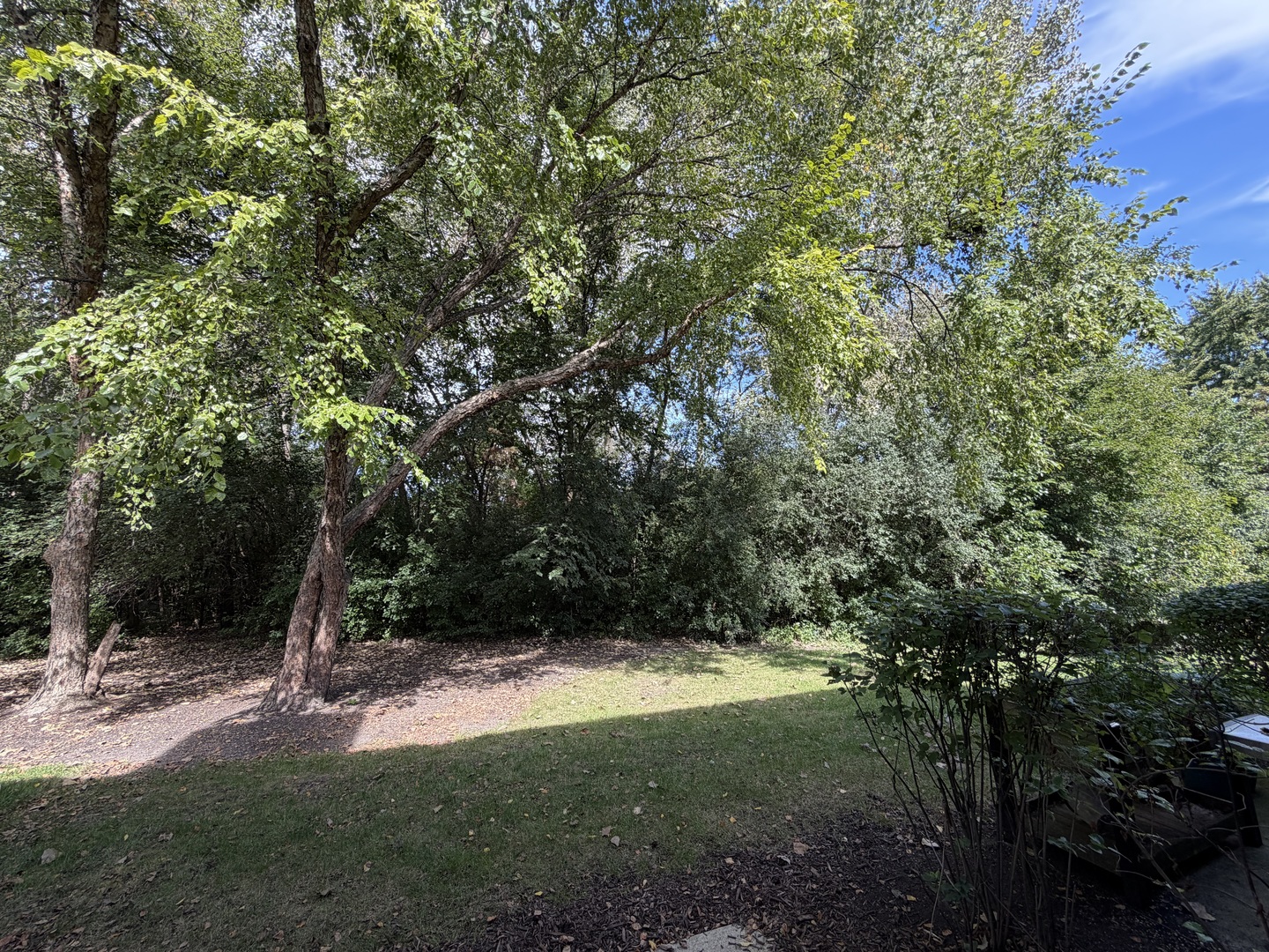 1691 Haines Drive Property Photo 20