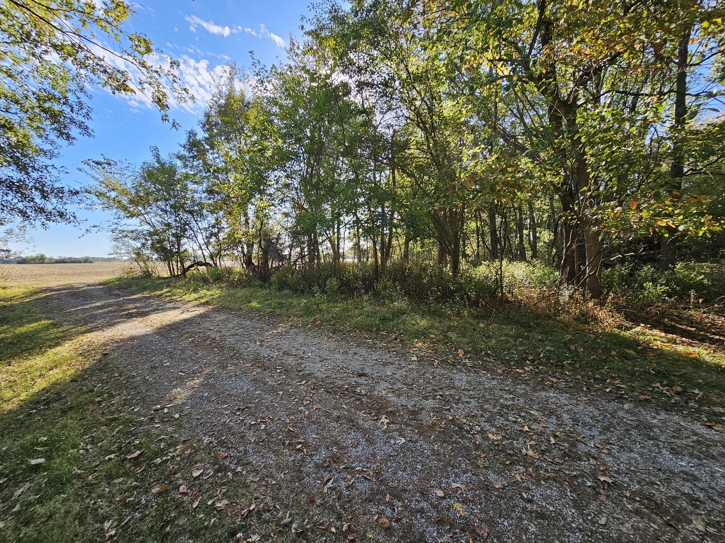 0000 7th Street Property Photo 6