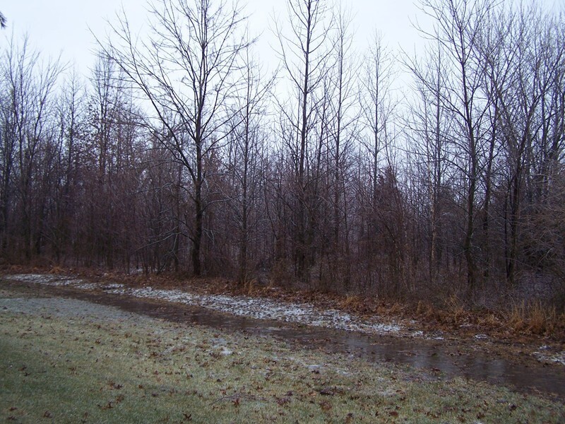 0000 Adams Drive Property Photo 1