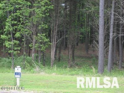 Lot 358 Parrish Ridge Lane Property Photo 1