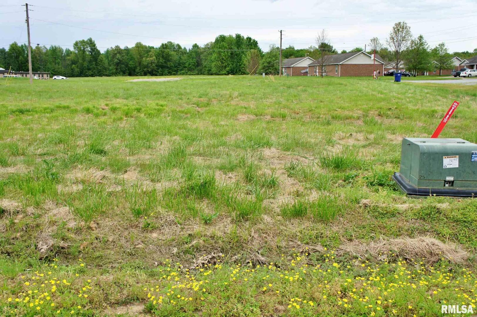 000 Rushing Drive Property Photo 3