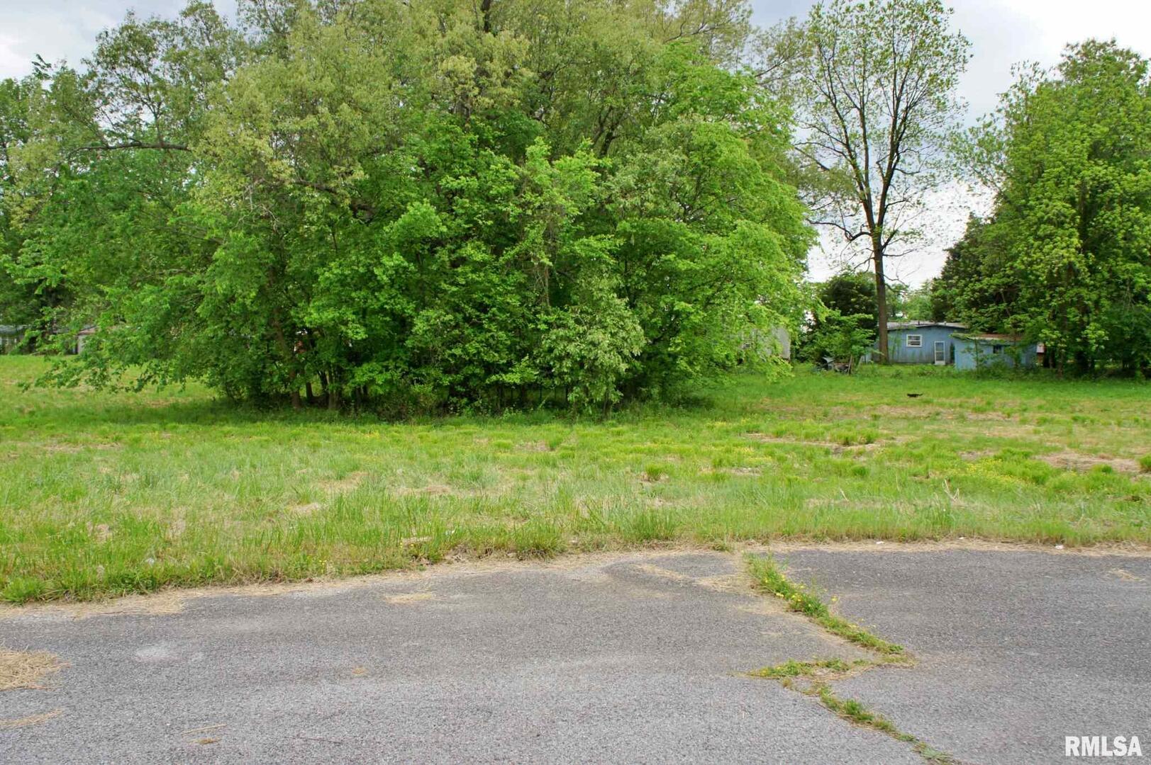 000 Rushing Drive Property Photo 11