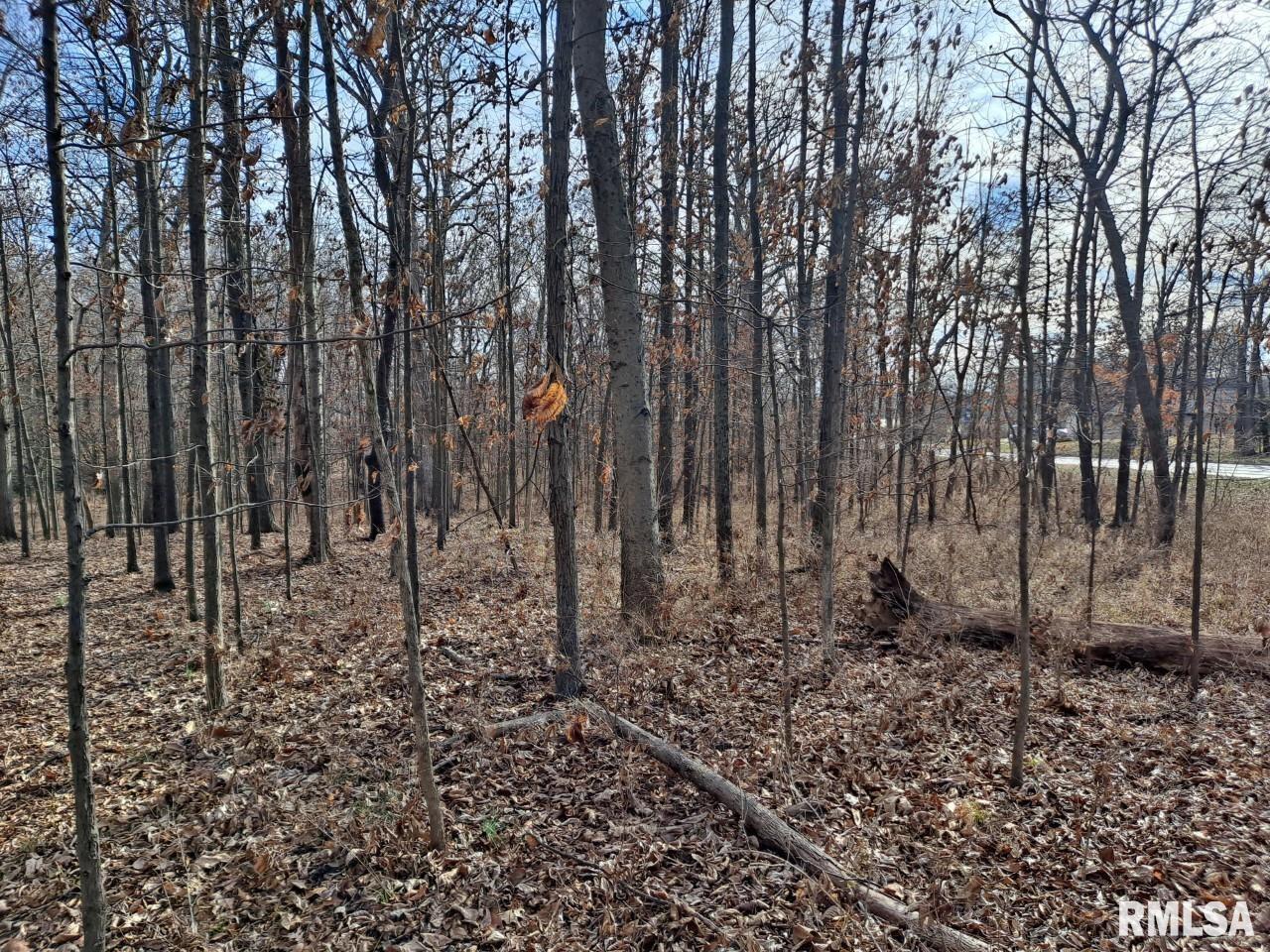 Lot 1 N 27th Street Property Photo 8