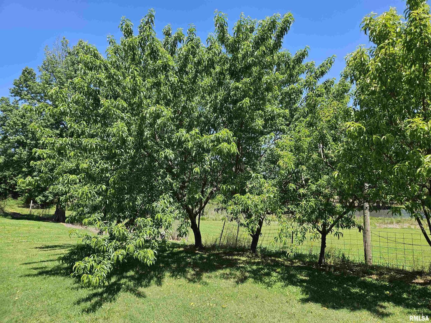 550 S Vienna Road Property Photo 22