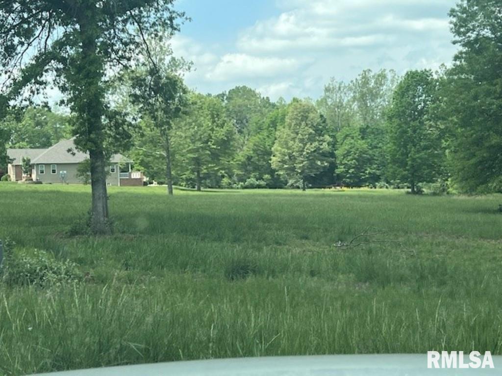 3601 (lot 9) Ridge Crest Drive Property Photo 5