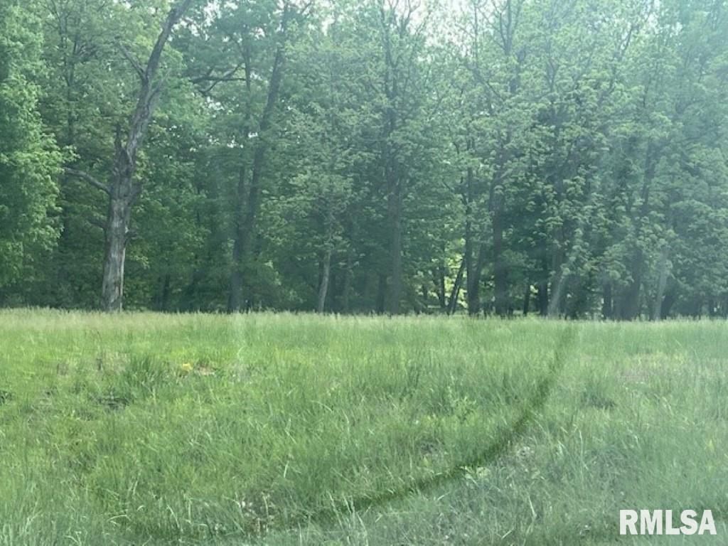 3551 (lot 10) Ridge Crest Drive Property Photo 8