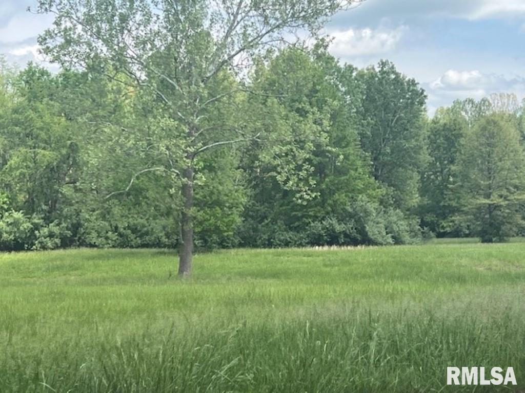 3551 (lot 10) Ridge Crest Drive Property Photo 10