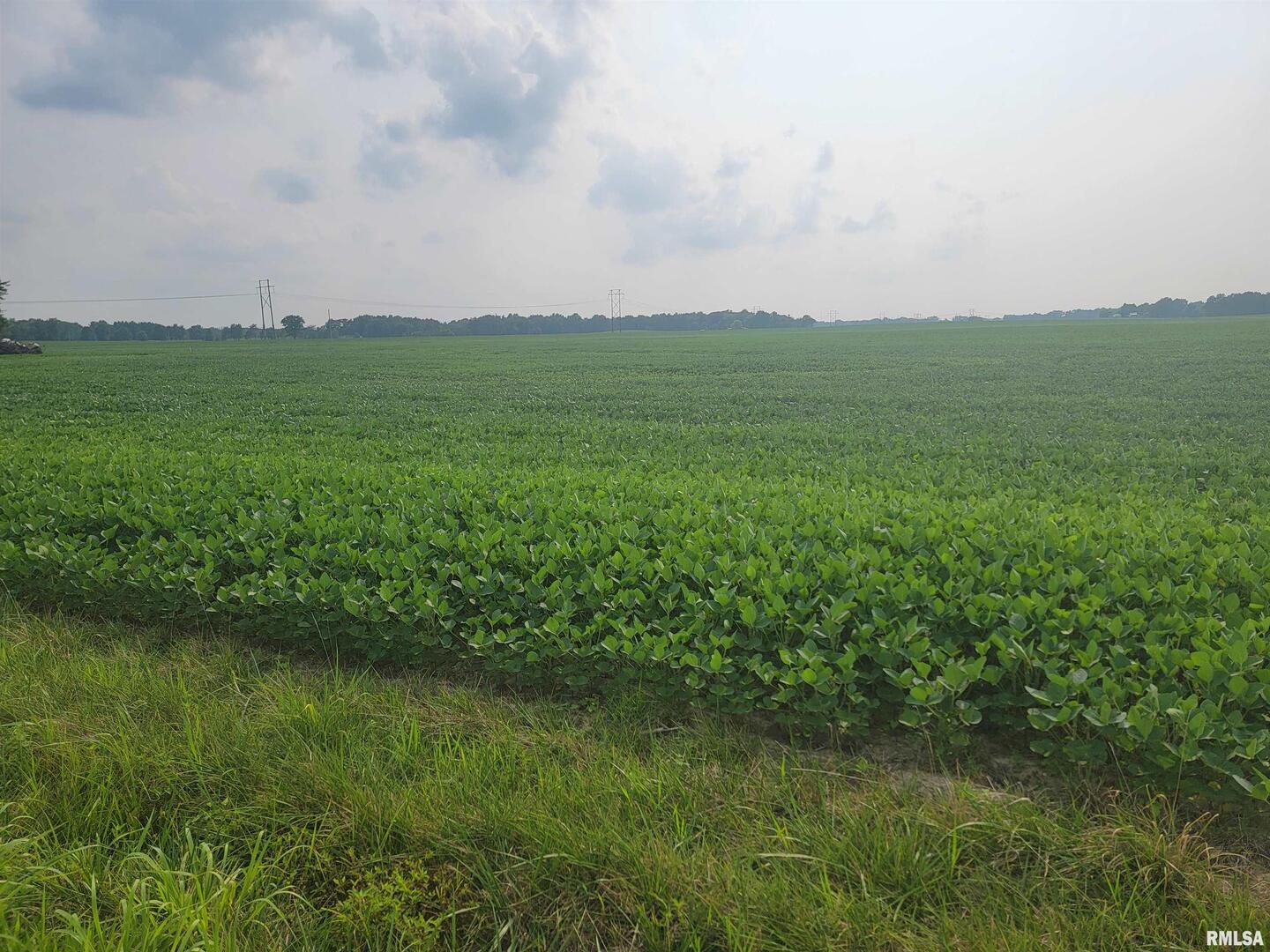 0 Iron Road Property Photo 3
