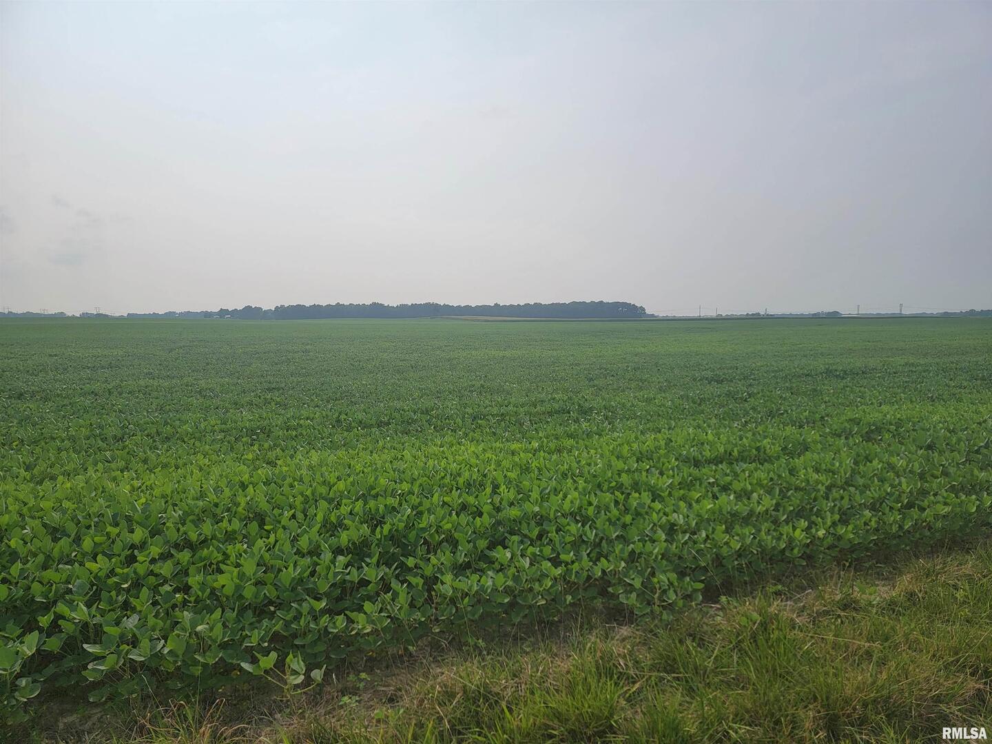 0 Iron Road Property Photo 7