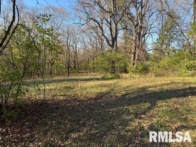 40 Crockett Road Property Photo 11