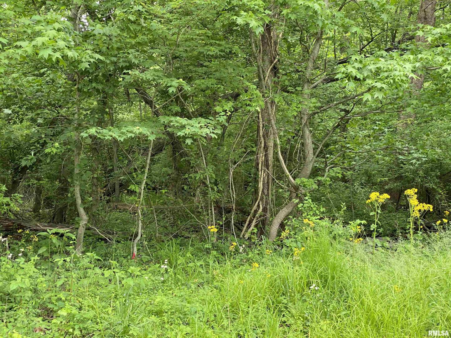Lot 4 Choctaw Drive Property Photo 2