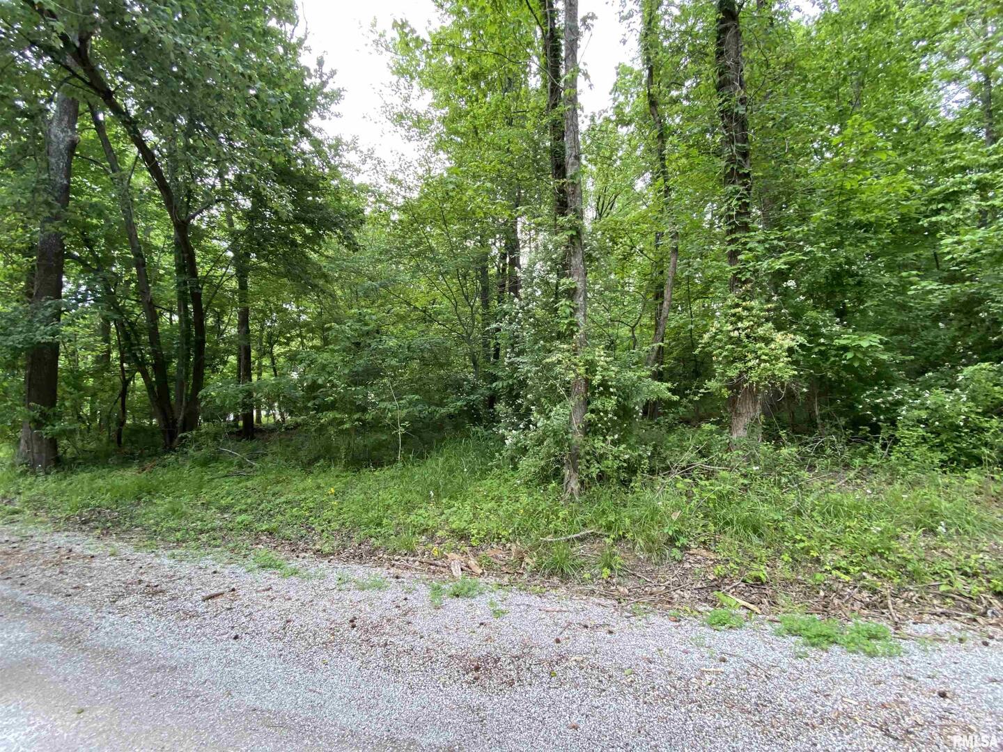 Lot 4 Choctaw Drive Property Photo 3