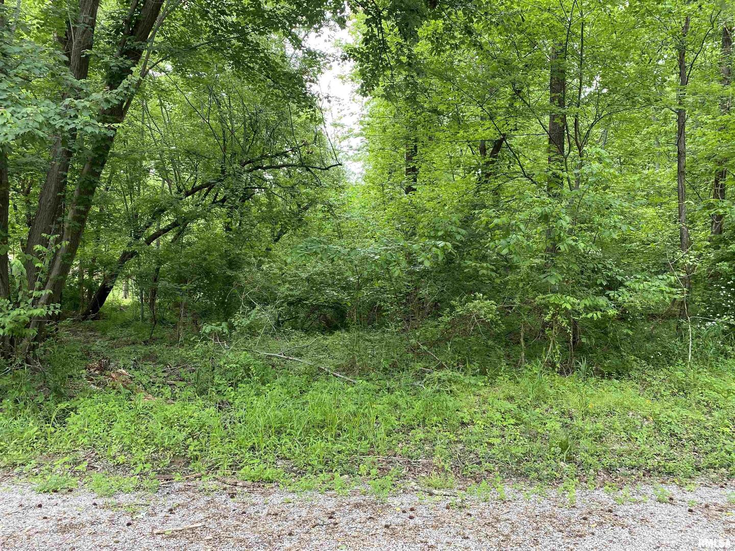 Lot 4 Choctaw Drive Property Photo 4