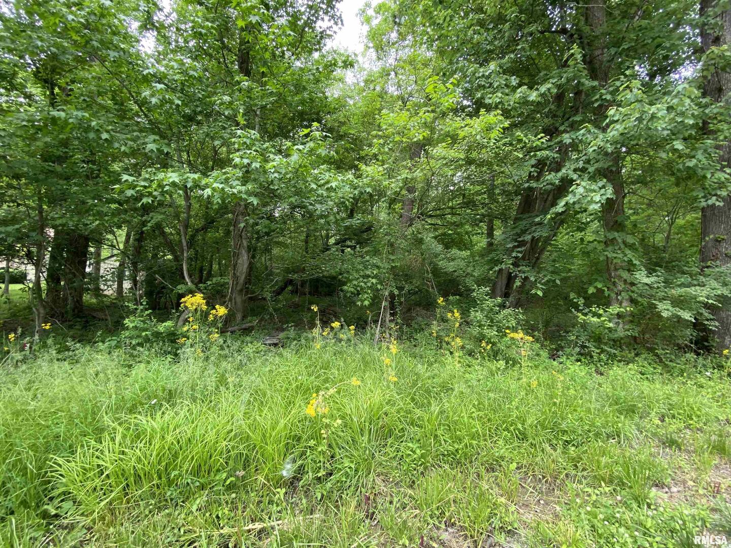 Lot 4 Choctaw Drive Property Photo 6