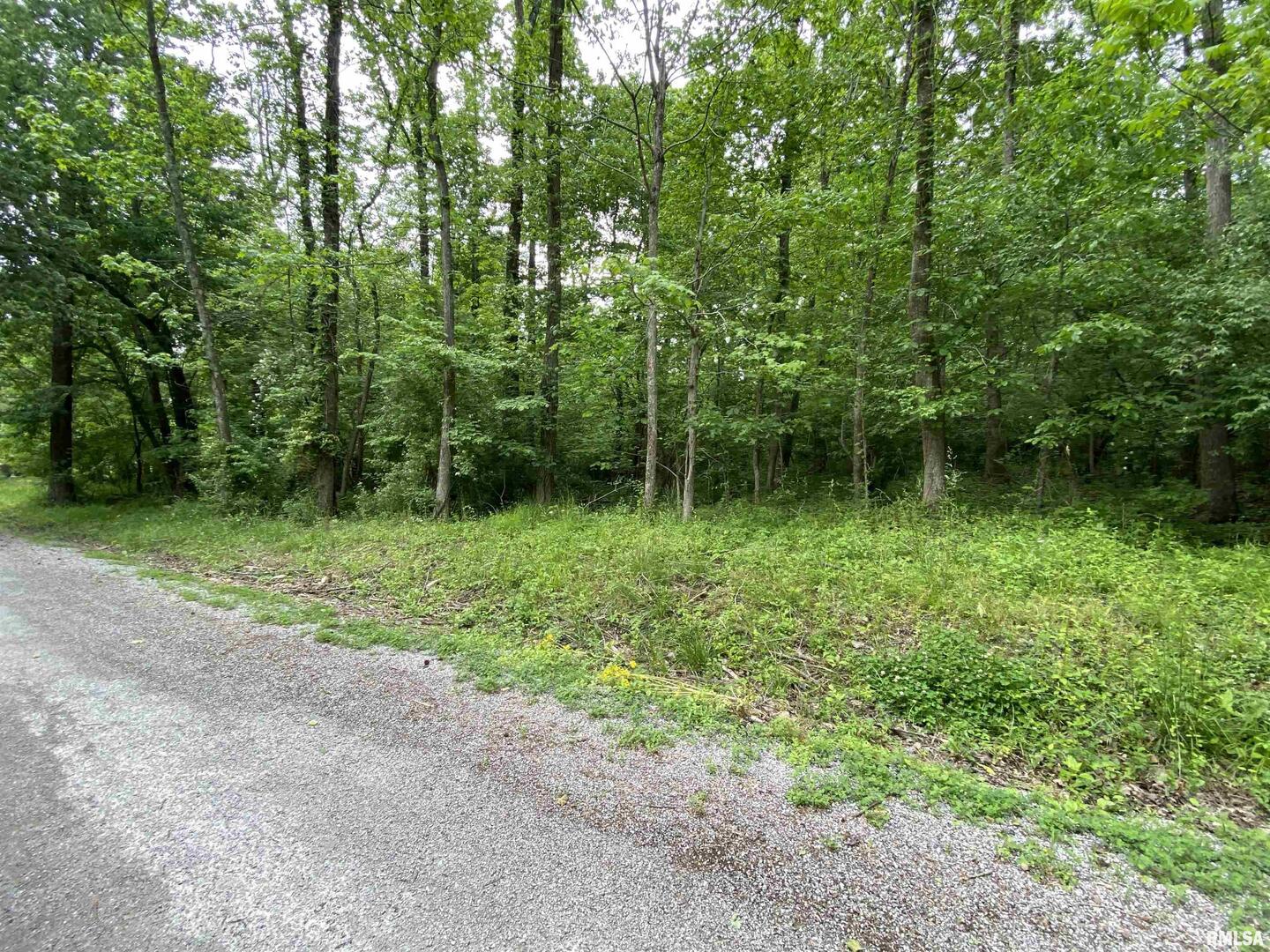 Lot 4 Choctaw Drive Property Photo 7
