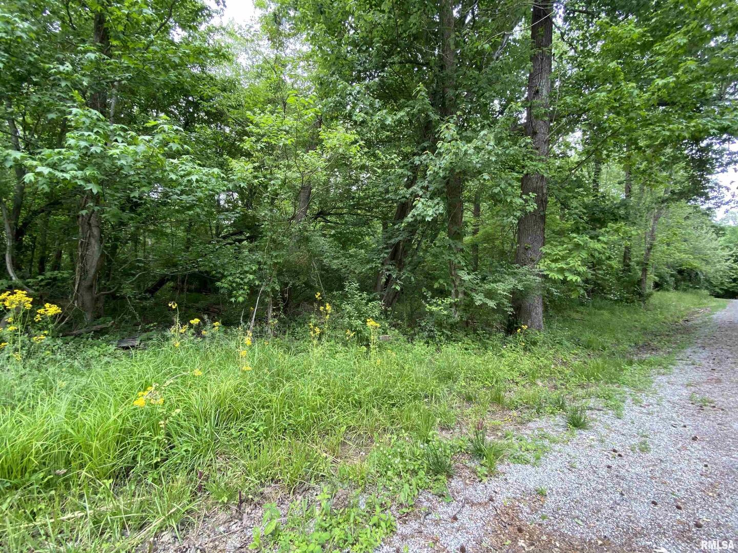 Lot 4 Choctaw Drive Property Photo 8