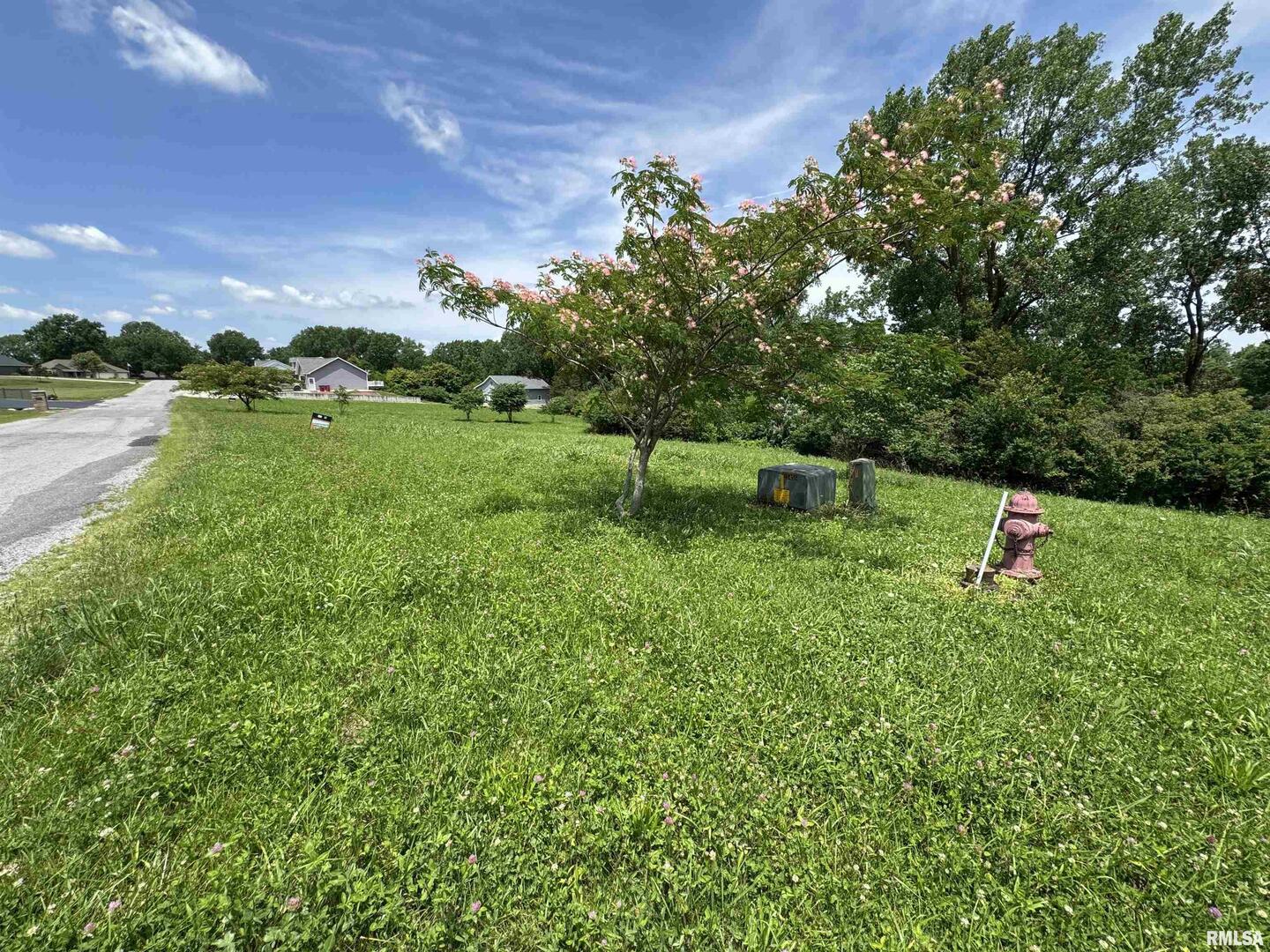 000 Yellow Brick Road Property Photo 3