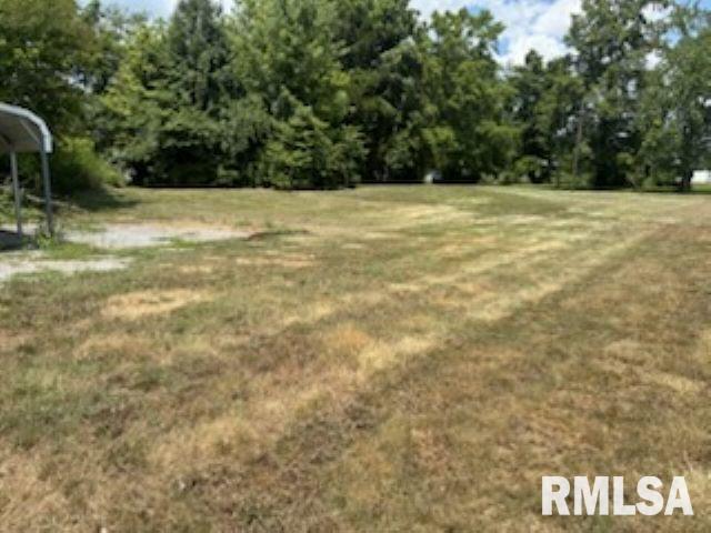 0000 N Il Hwy 37 Highway Property Photo 8