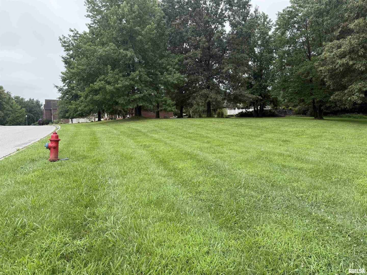 Tbd Kokopelli Drive Property Photo 4