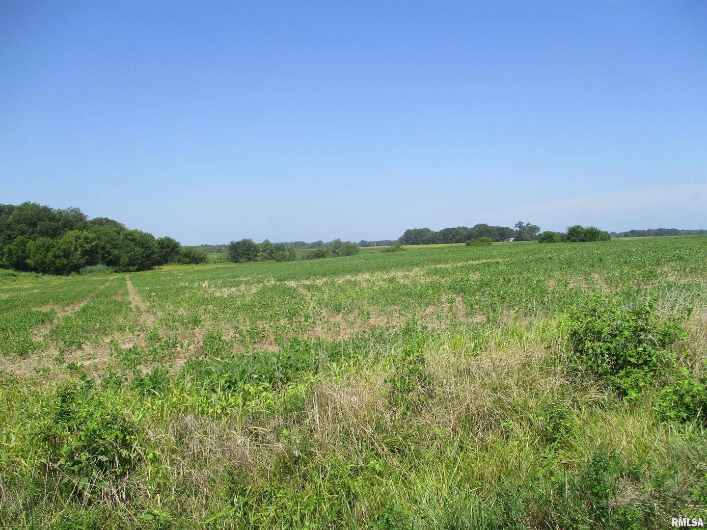 0000 Bean Road Property Photo 8