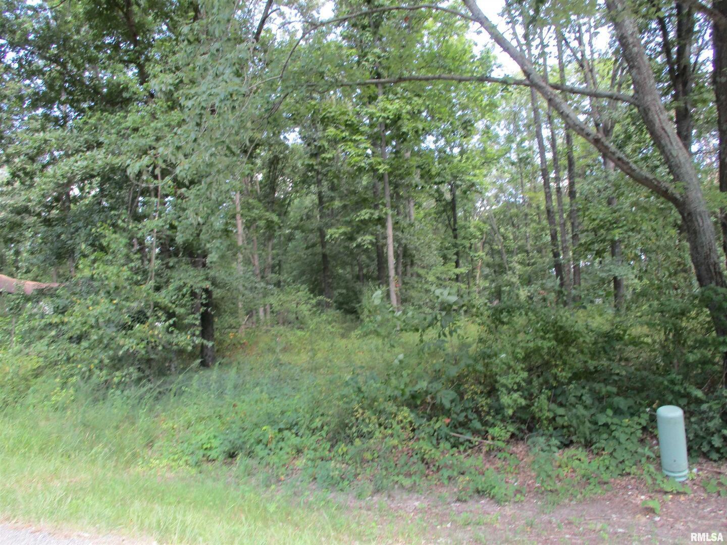 0000 White Birch Court Property Photo 6