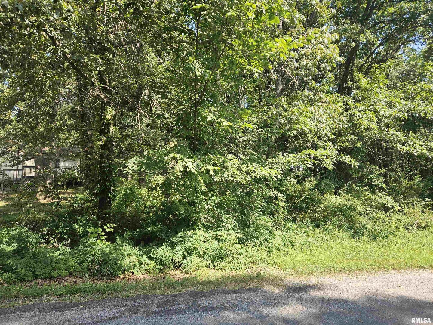0000 White Birch Court Property Photo 19