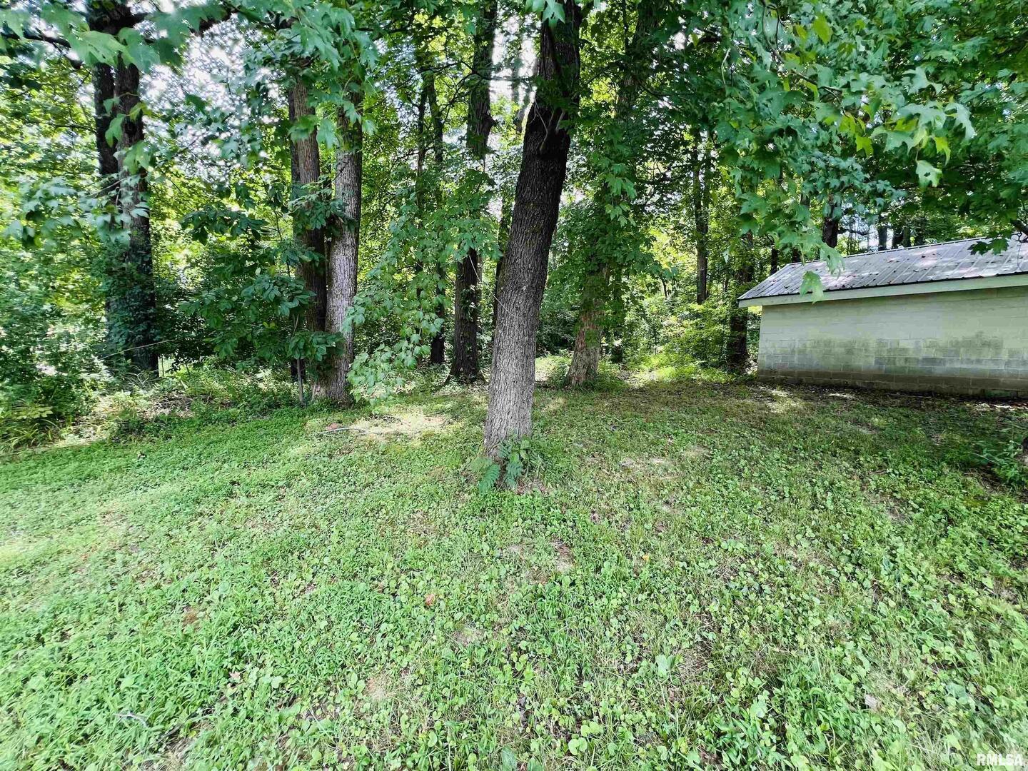 366 N Il-1 Route Property Photo 16