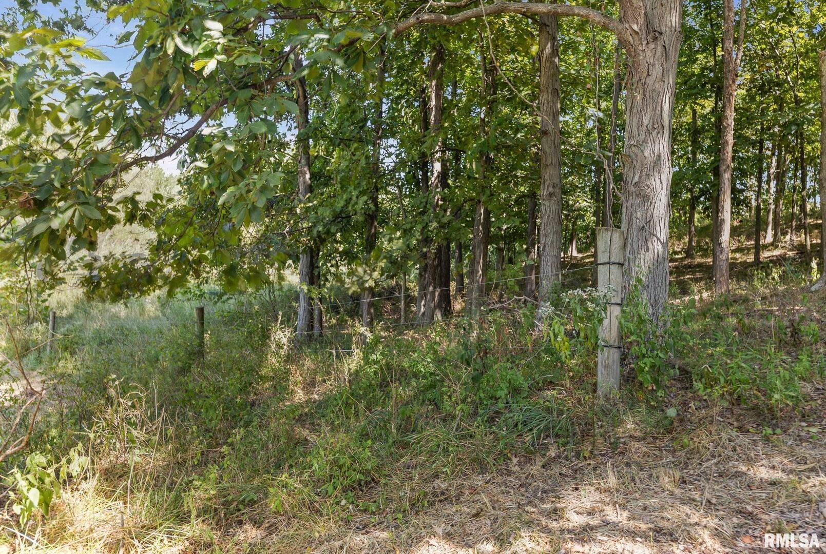 520 Deerfield Road Property Photo 14