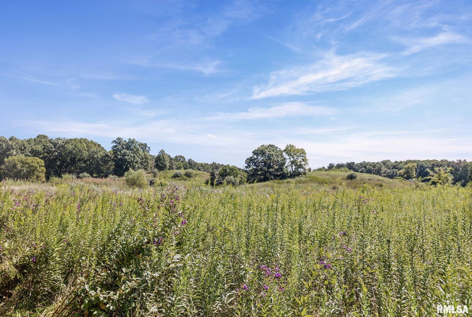 520 Deerfield Road Property Photo 16