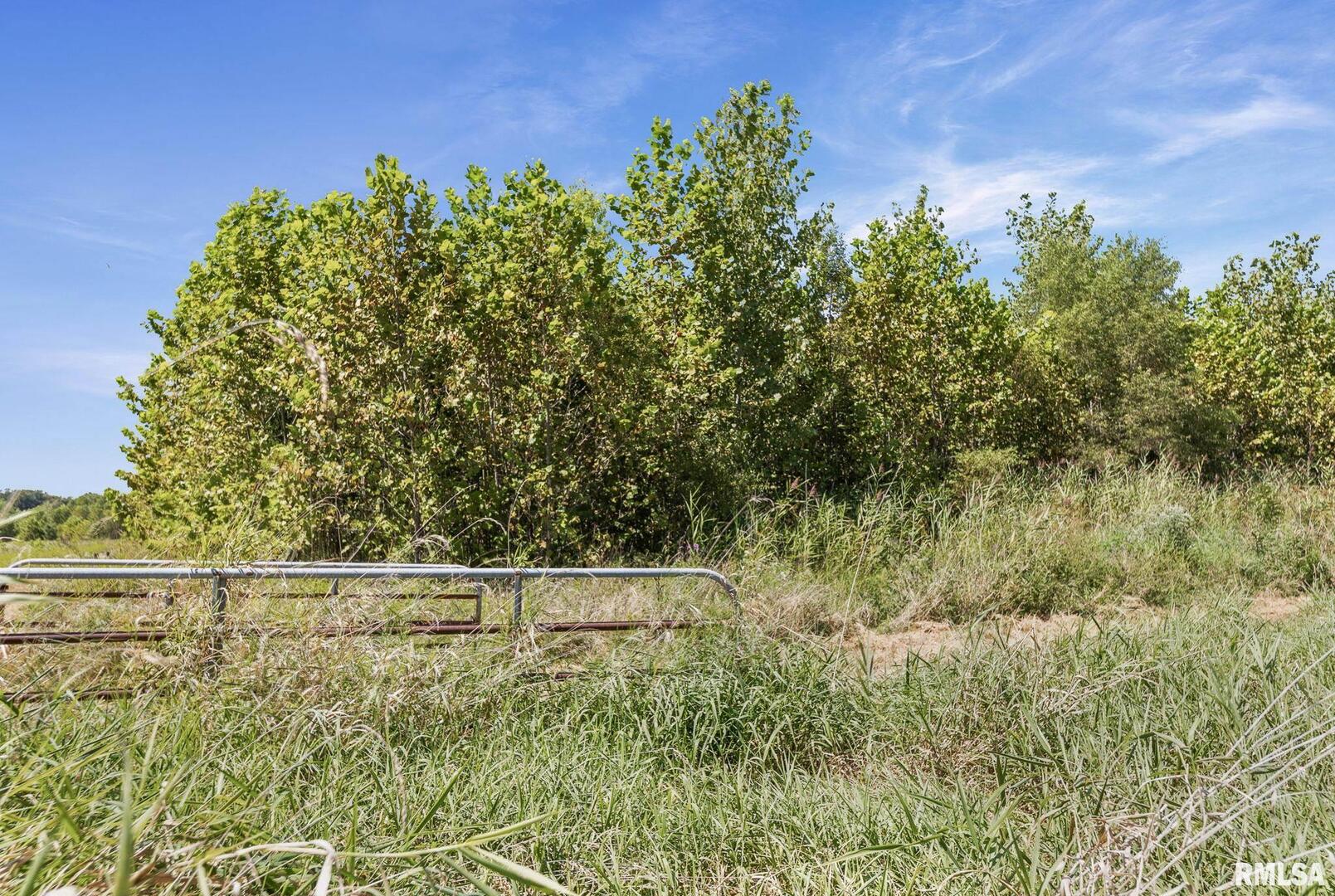 520 Deerfield Road Property Photo 18