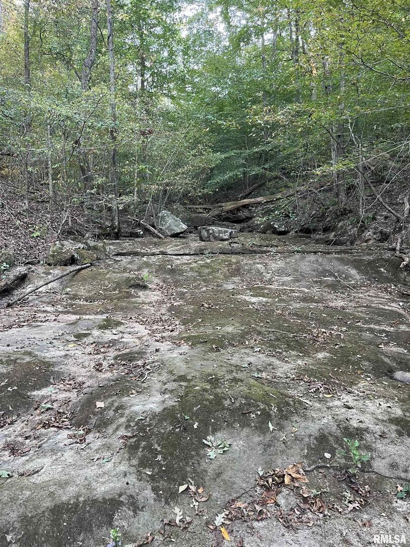 5435 Hickory Ridge Road Property Photo 60