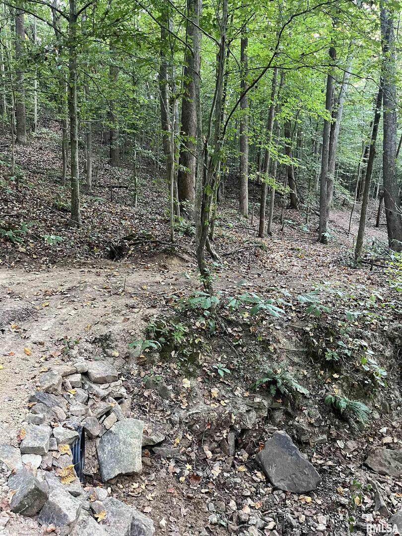 5435 Hickory Ridge Road Property Photo 71