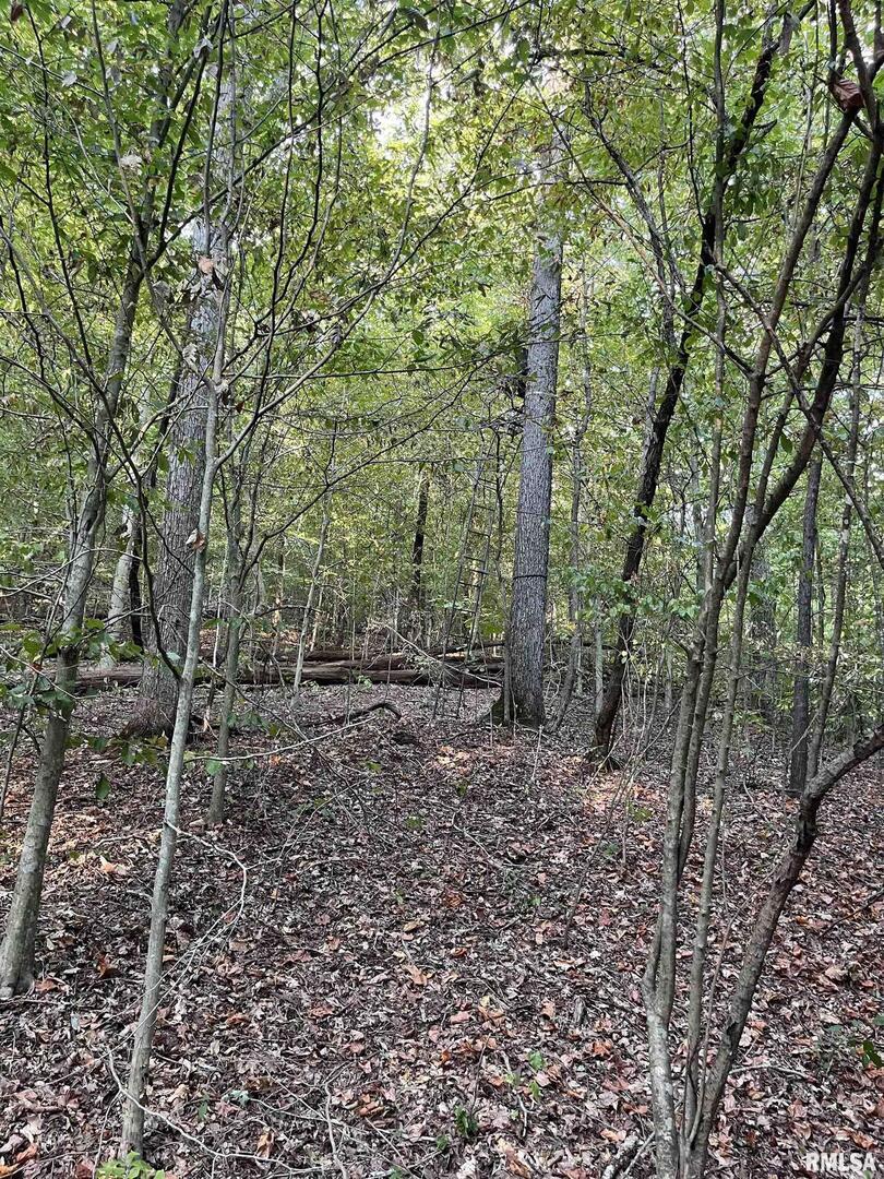 5435 Hickory Ridge Road Property Photo 72