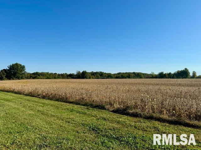 1934 County Road 315 E Road Property Photo 31