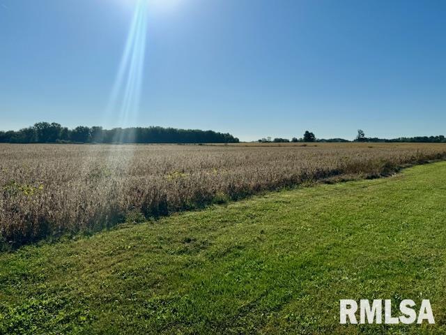 1934 County Road 315 E Road Property Photo 32