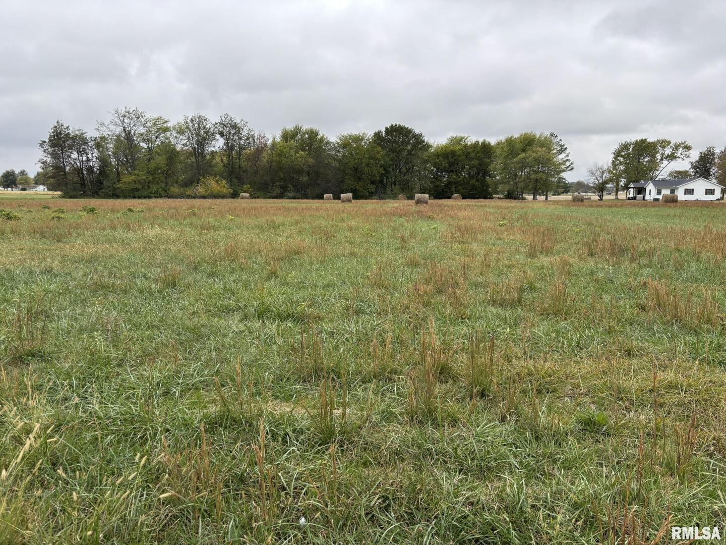 1200 Block Roddy Road Property Photo 2