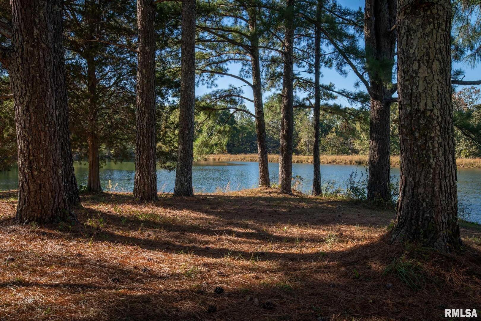 2145 Lick Creek Road Property Photo 48