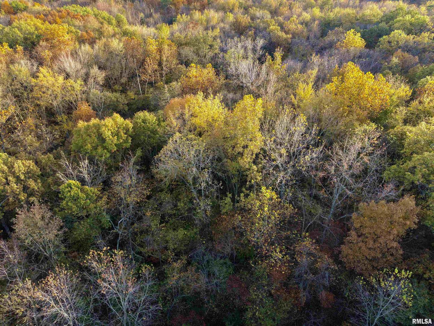 18492 Moonbeam Lane Property Photo 12