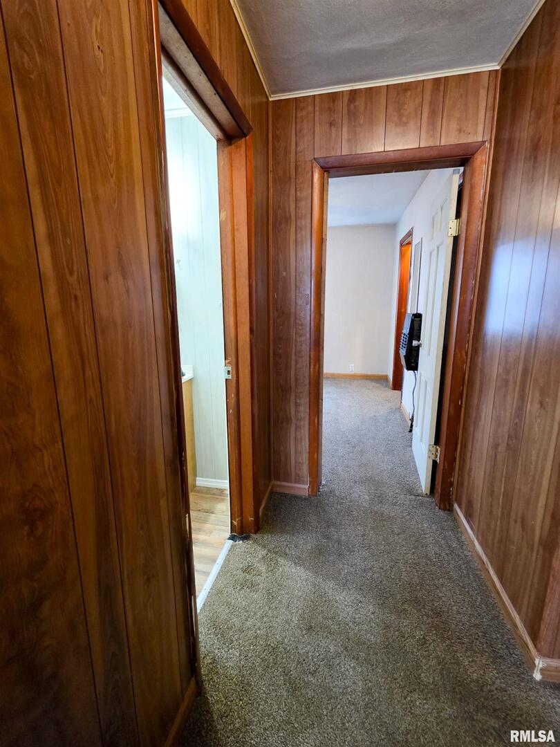 103 Watkins Street Property Photo 52
