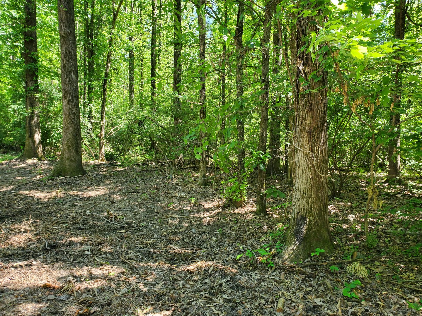 000 Delaware Road Property Photo 4