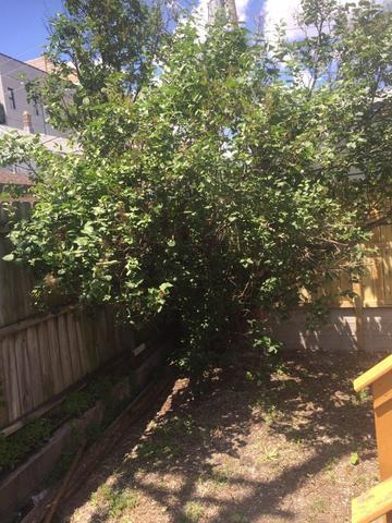 1816 S Jefferson Street Property Photo 19