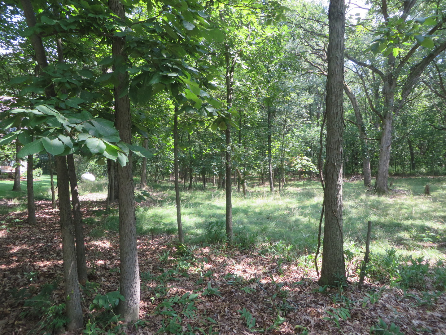 Lot 14 Six Mile Grove Property Photo