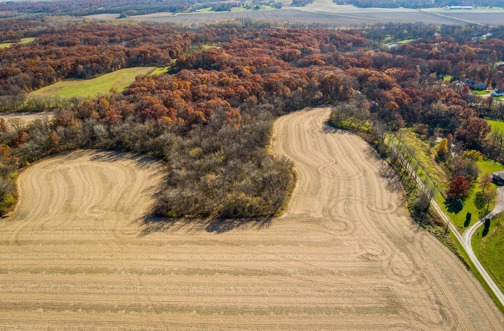 6080 Stage Coach Road Property Photo 4