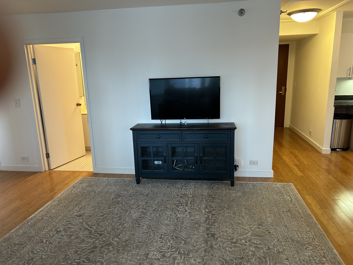 401 E Ontario Street 2606 Property Photo 12