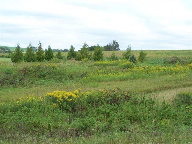 Tbd E Morseville Road Property Photo