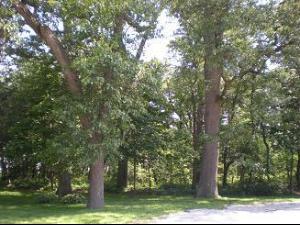 Lot 6 Edgetown Oaks Property Photo